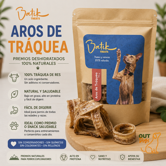 Tráquea de Res