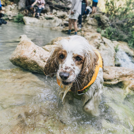Float Coat de Ruffwear®