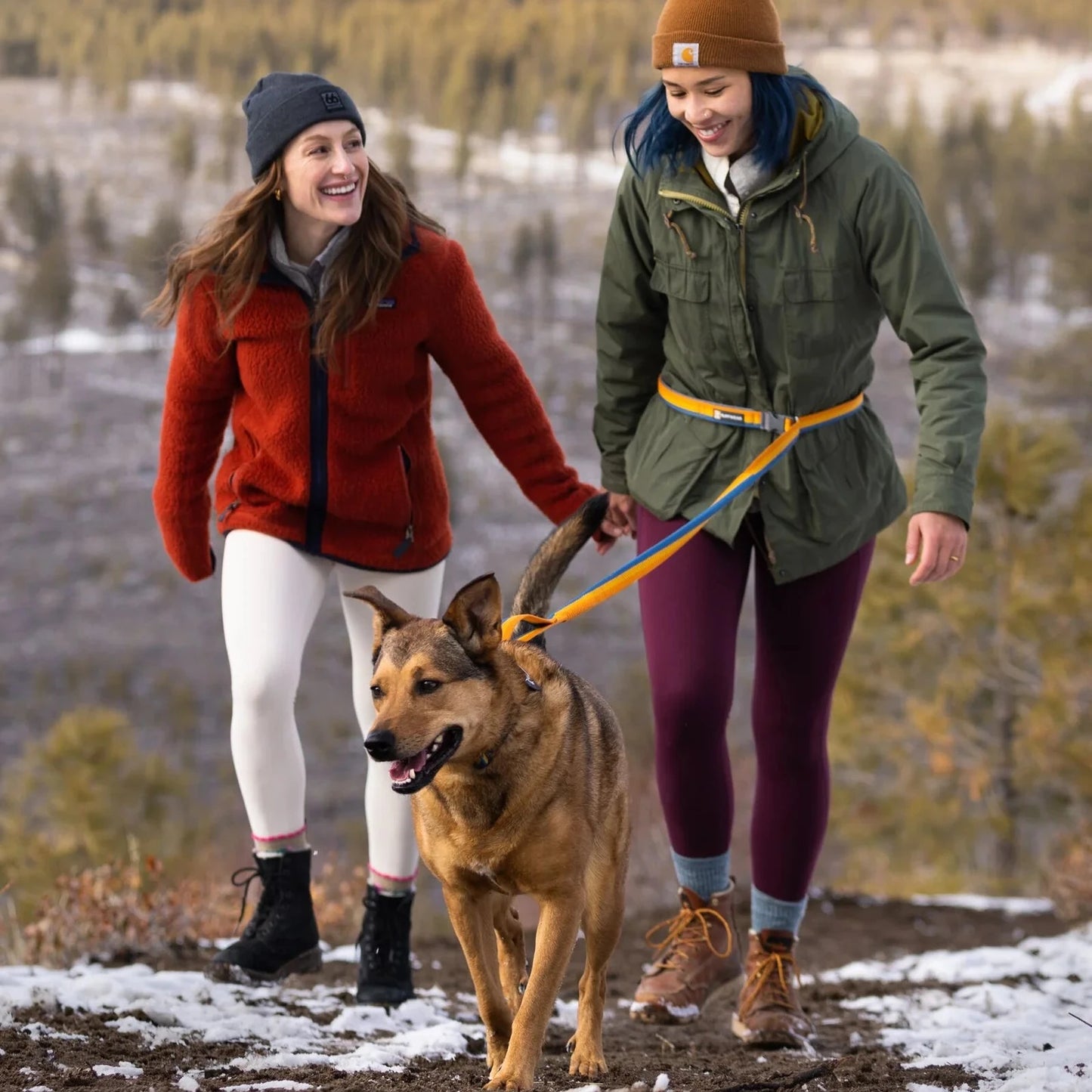 Correa Elástica Roamer Leash