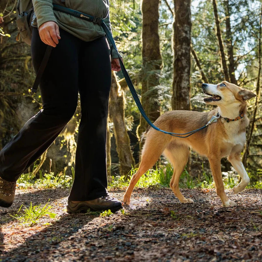 Correa Elástica Roamer Leash