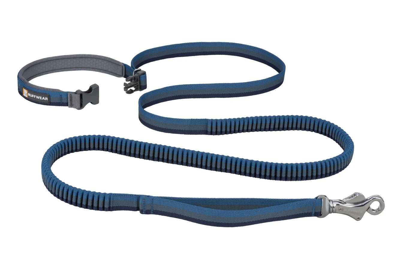 Correa Elástica Roamer Leash