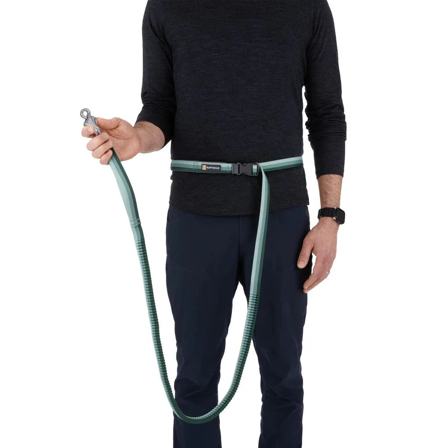 Correa Elástica Roamer Leash