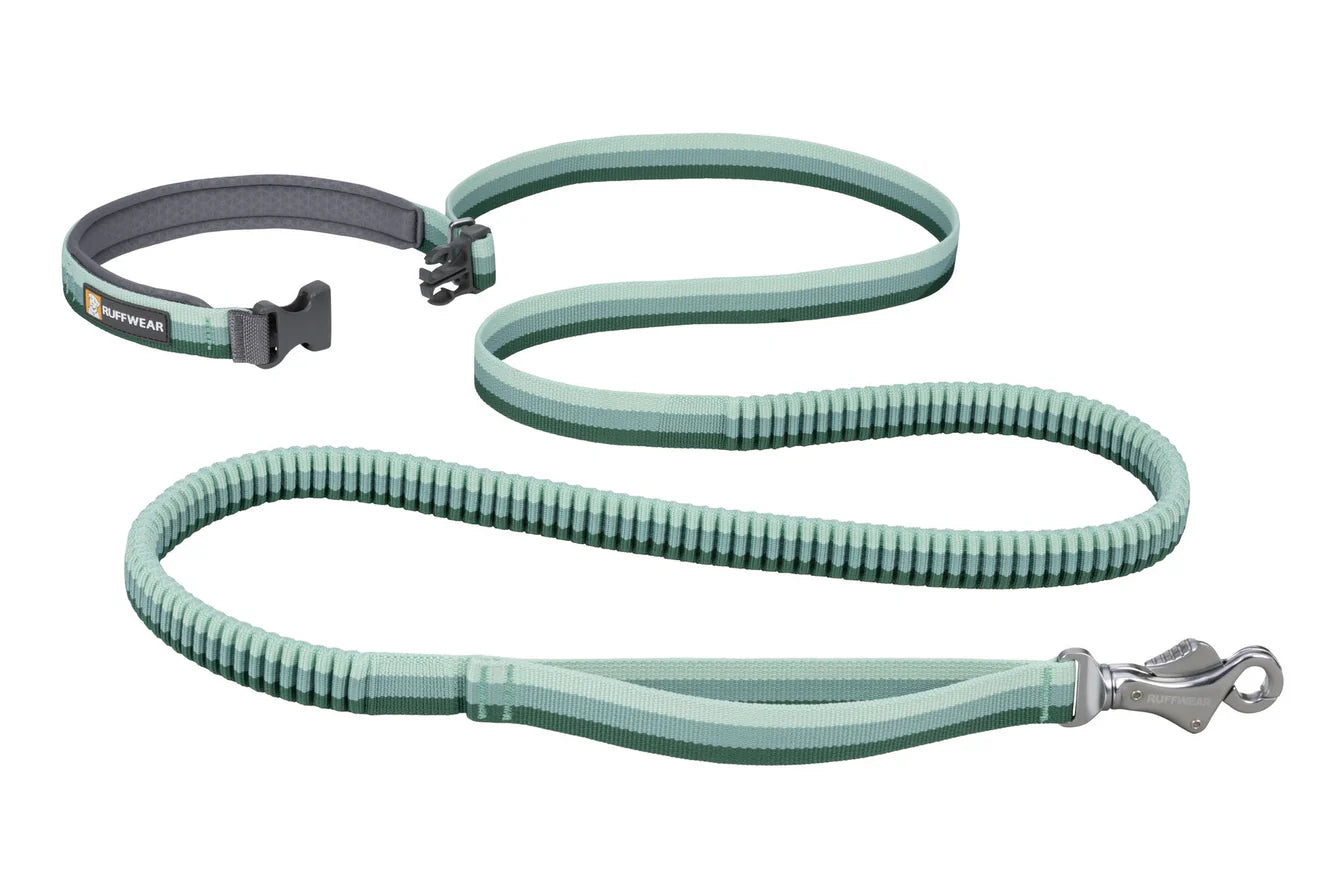 Correa Elástica Roamer Leash