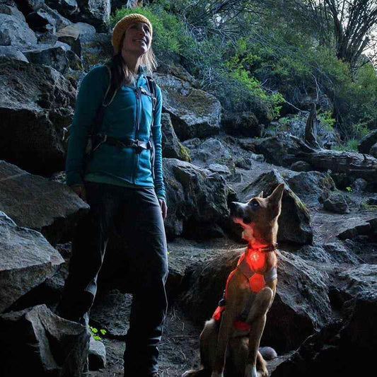 Luz LED de Seguridad Recargable The Beacon de Ruffwear